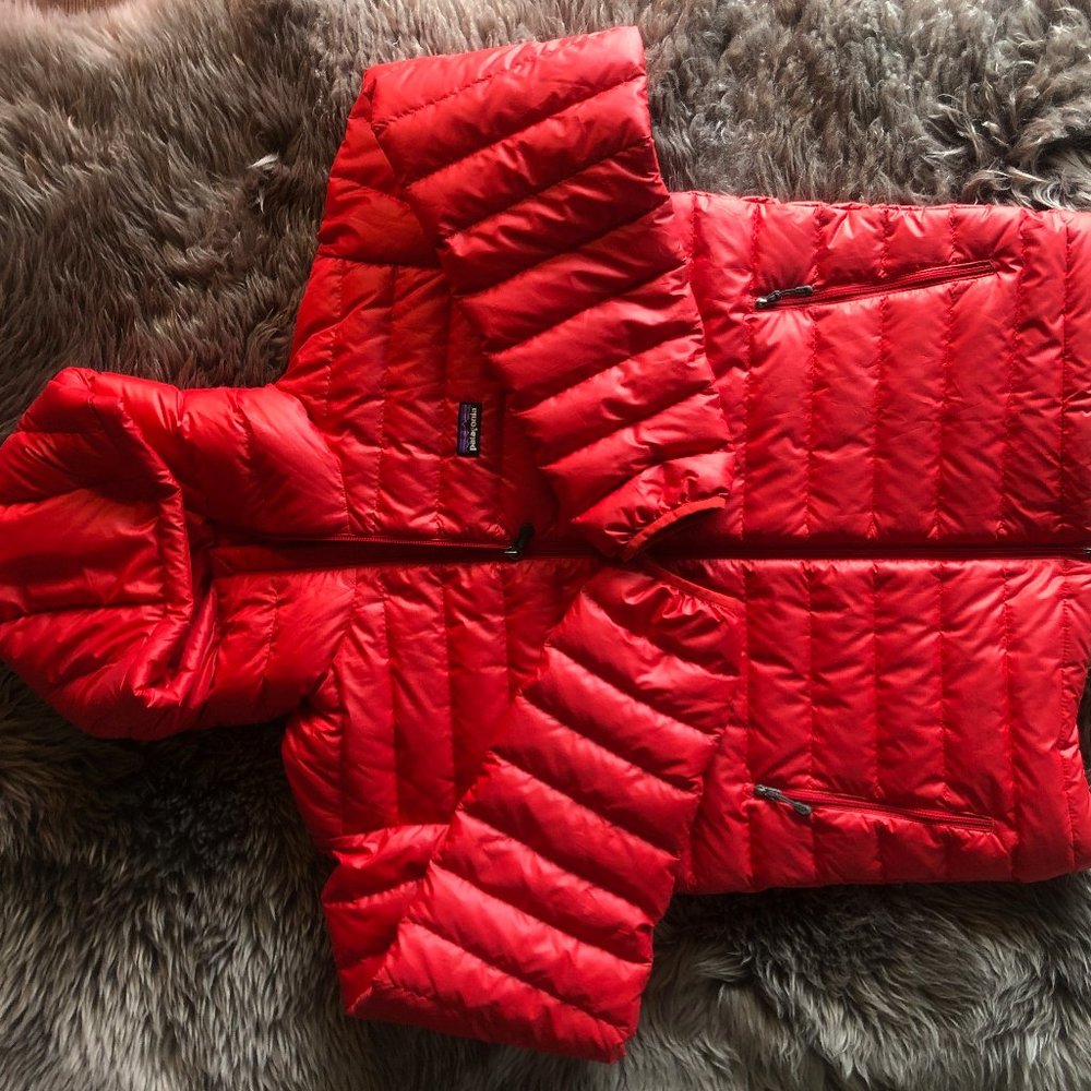 Patagonia Men's Down Hoody (hardly been worn)